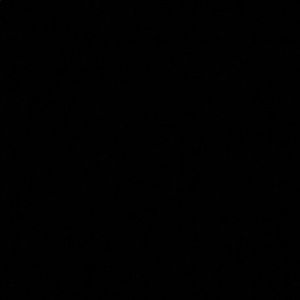 Meet your Posher, Laila